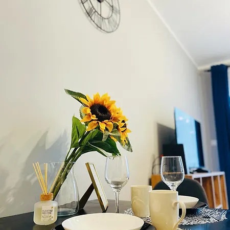 Rimex Invest Group Apartment *