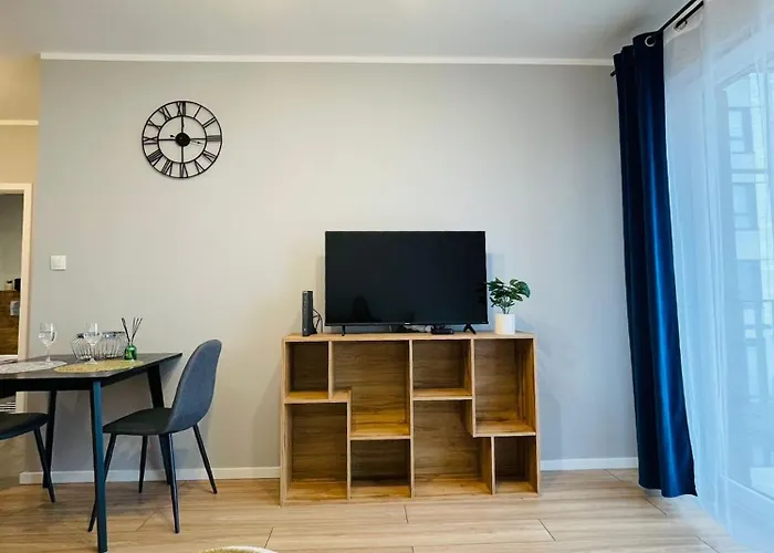 Rimex Invest Group *