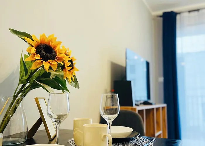 Rimex Invest Group *