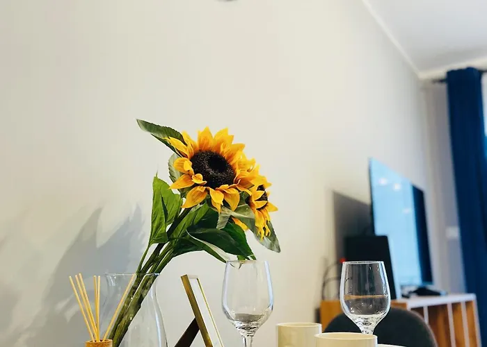 Rimex Invest Group Appartamento *